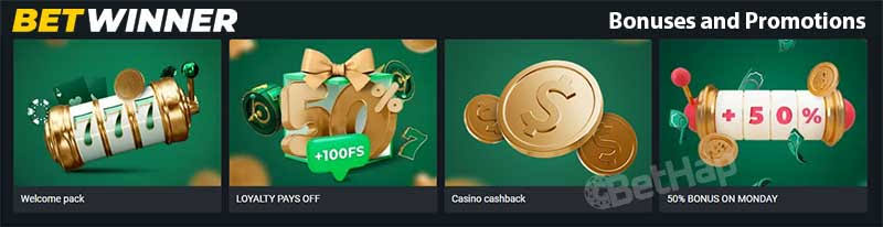 Exploring the BetWinner Platform Your Ultimate Guide to Sports Betting Exploring the BetWinner Platform Your Ultimate Guide to Sports Betting